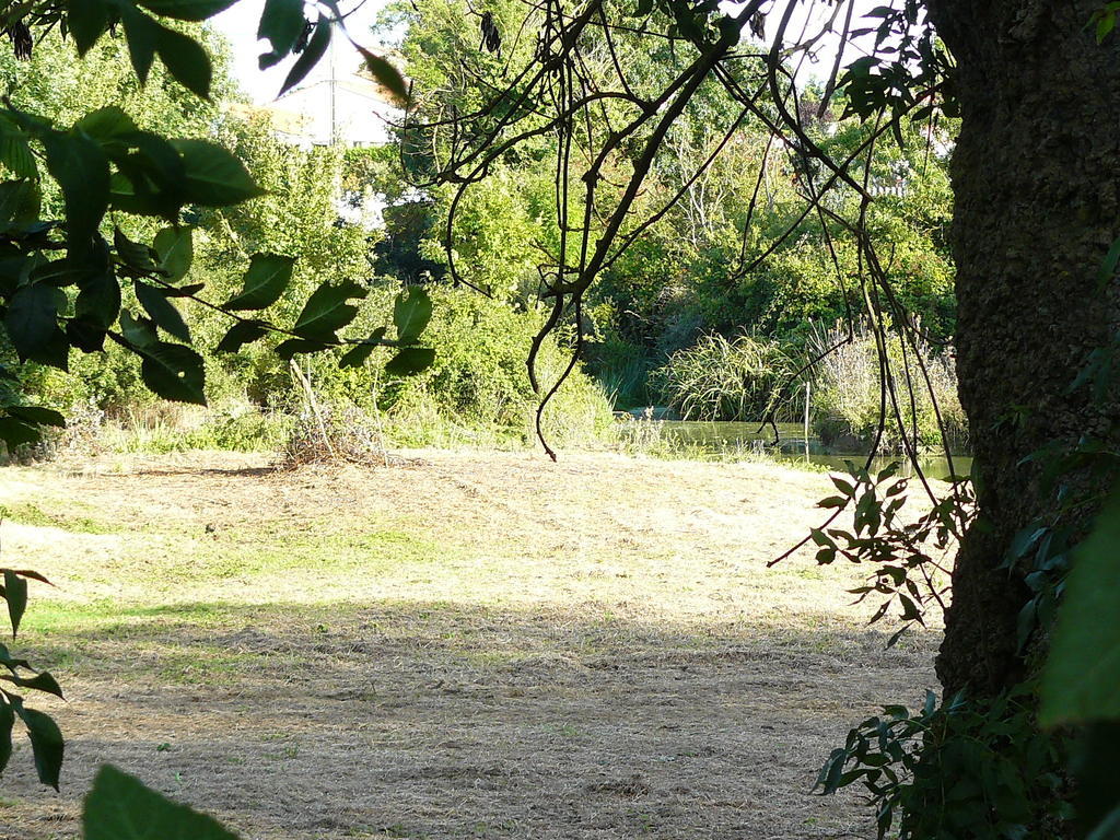 Villa Les Plenitudes Du Rivage Saint-Vincent-sur-Jard Exterior foto